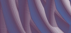 generalist personalmanagement